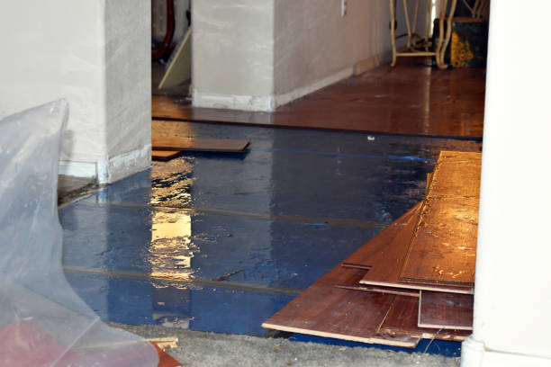 Professional Sewage Cleanup technician working in Pledger, TX